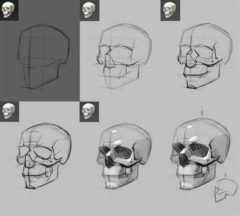 Skull On Pinterest Skull Reference Skulls And Simple Skull Drawing
