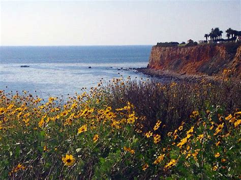 We did not find results for: Best places to see Southern California wildflowers