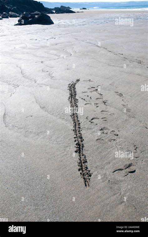 Draw A Line In The Sand On A Cornish Beach Stock Photo Alamy