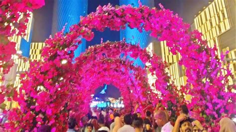 Qatar Darb Lusail Flower Fest Sheeandsha Explores Youtube