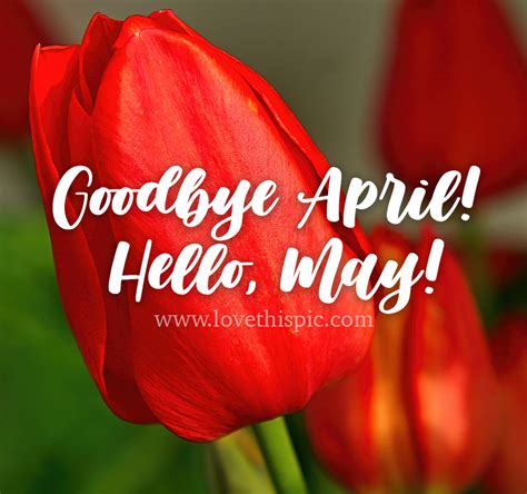 Goodbye April Hello May Pictures Photos And Images For Facebook