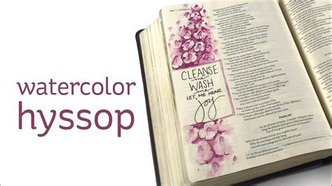 Bible Journaling Psalm 51 Watercolor Hyssop Flowers Youtube