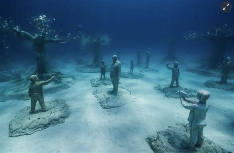 Spectacular Underwater Museum ‘forest Opens Marine Industry News