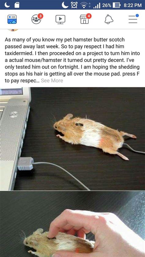 Dead Hamster Meme Deeper