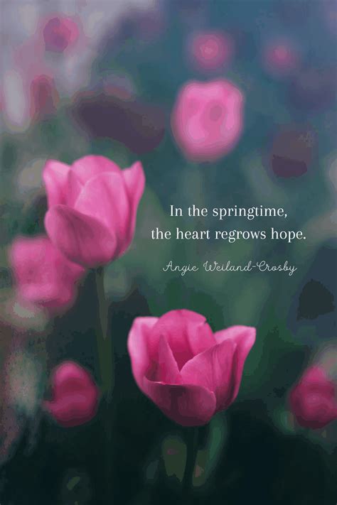 Flower Quotes And Spring Quotes With A Soulful Shimmer Mom Soul Soothers