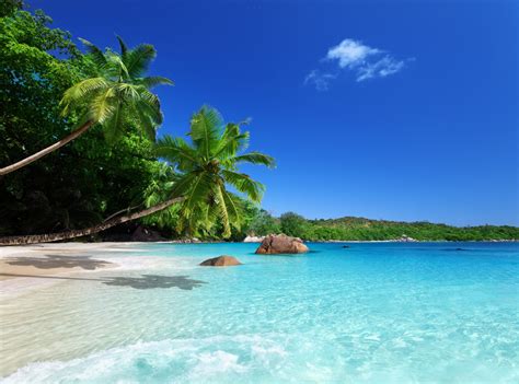 Tropical Paradise Sunshine Beach Coast Sea Sky Blue