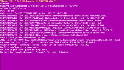 How To Deal With Psod The Purple Screen Of Death
