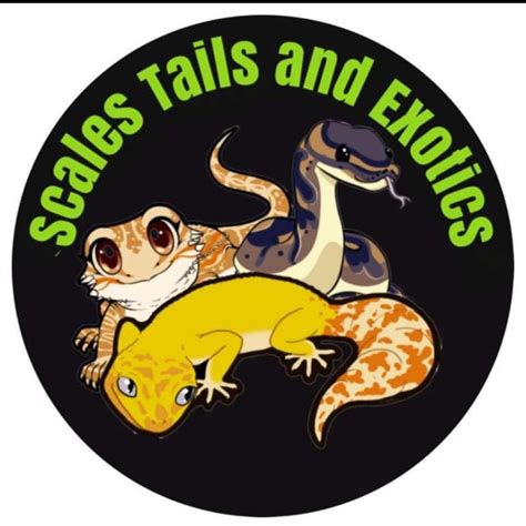 Scales Tails And Exotics Posts Facebook