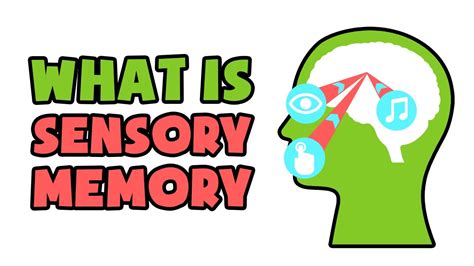 Sensory Memory Nootropic Master