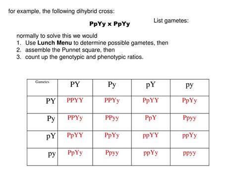 Identify the combinations of alleles in the gametes. PPT - Chapter 3 Punnett Square vs Fork- line Method for ...