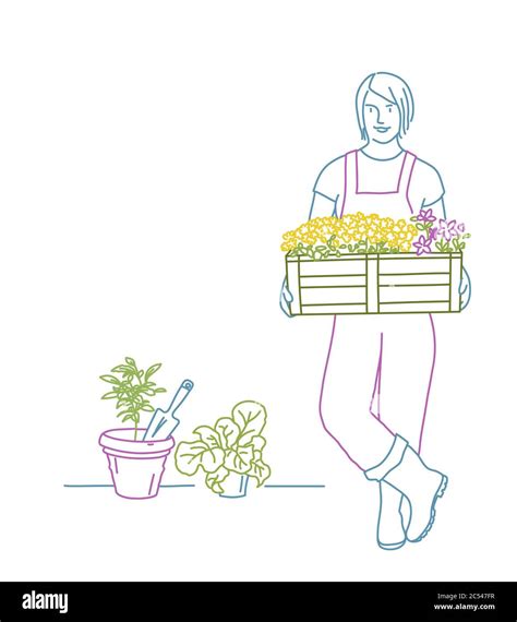 Gardener Woman With A Box Of Flowers In The Garden Colour Line Drawing