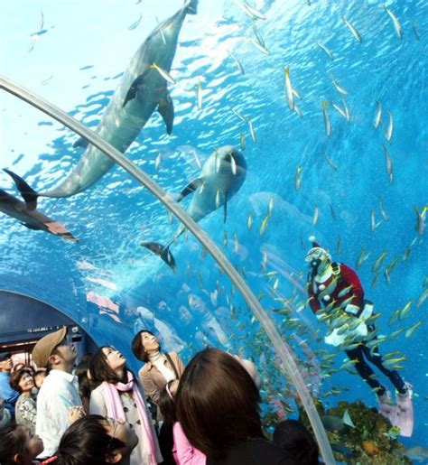 All Pakistan Sites Bigest Aquarium In Japan