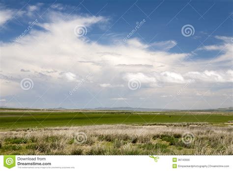 Mongolian Steppes Stock Photo Image Of Distance Golden 36743000
