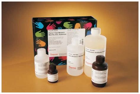 Thermo Scientific Pierce Fast Western Blot Kit Ecl Substrate Western Blotting Reagents