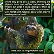 116 Times Nature Proved It s Too Weird For Us To Handle | Bored Panda