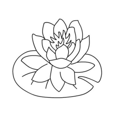 Printable lily pad coloring pages for kids. Water Lily coloring, Download Water Lily coloring for free ...