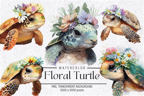 Floral Turtle Watercolor Clipart Graphic By Folv · Creative Fabrica