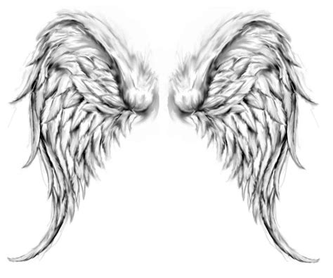 Free Angel Wings Download Free Angel Wings Png Images Free Cliparts