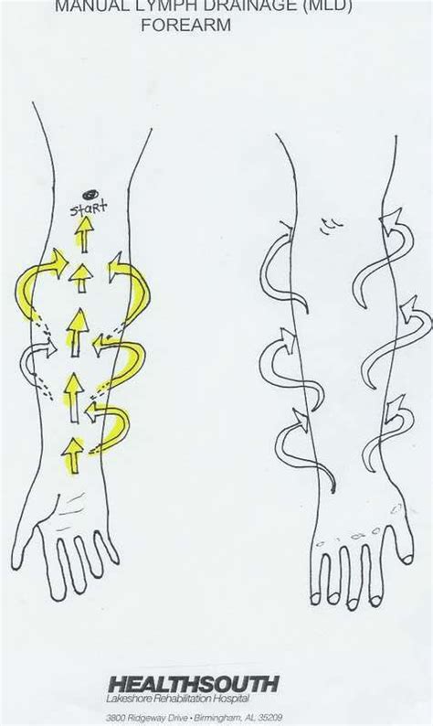 Manual Lymph Drainage Mld Arm Illustrated Patterns Manual Lymph