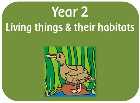 Year 2 Science Living Things Resource Pack Powerpoints Planning