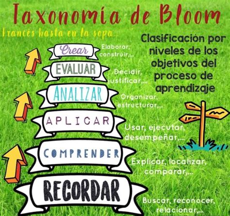 Inforgrafía TaxonomÍa De Bloom Orientacion Andujar