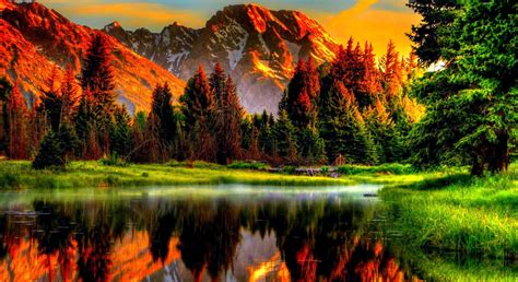 Best Nature Hd Nature K Wallpapers Images Backgrounds Photos And Riset