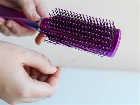 How To Clean A Hairbrush The Krazy Coupon Lady