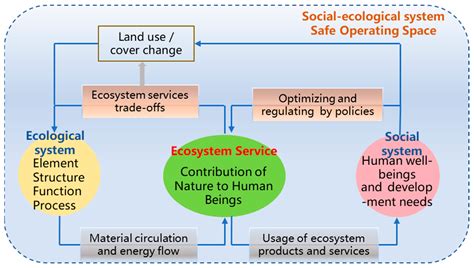 Sustainability Free Full Text A Review Of Socialecological System