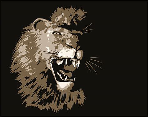 Best Lion Eyes Illustrations Royalty Free Vector Graphics And Clip Art