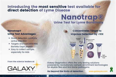 Galaxy Diagnostics Launches Direct Detection Test For Lyme Disease
