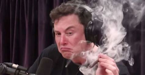Musk graduated with a bachelor of science in physics, as well the two majors speak to the direction musk's career would take later, but it was physics that made the deepest impression on his thinking. Elon Musk may have violated Tesla's business conduct policy by smoking weed