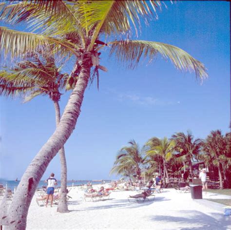 Florida Memory People Lounging In The Sun At The Beach Key West