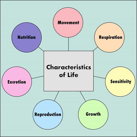 1.1 Characteristics of life - My Biology Resources