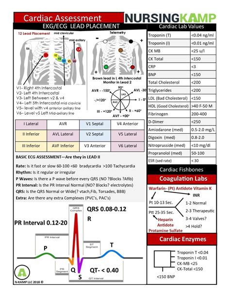 Pin On Nursing