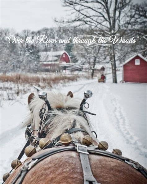 Pin By Becky Cagwin On Christmas Music And Caroling Horses Winter