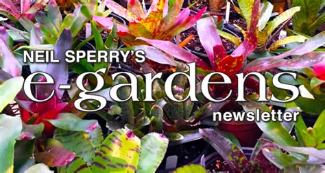 Neil Sperrys Gardens The Definitive Word In Texas Horticulture