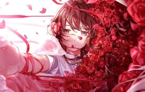 Download Free 100 Rose Anime Wallpapers