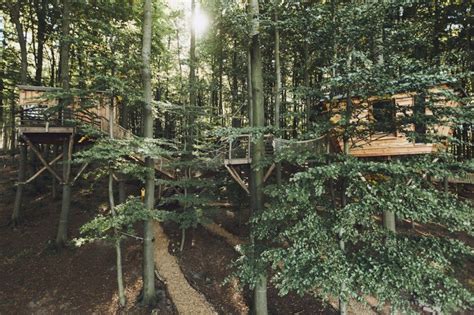 Gorgeous Robins Nest Treehouse Hotel Immerses You In Nature