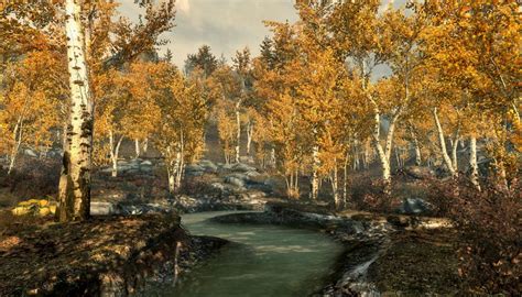 New Elder Scrolls V Skyrim Screenshots Feature Lush Forests And Brutal