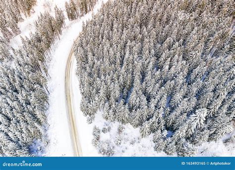 Coniferous Forest After Heavy Snowfall Aerial Landscape Nature In