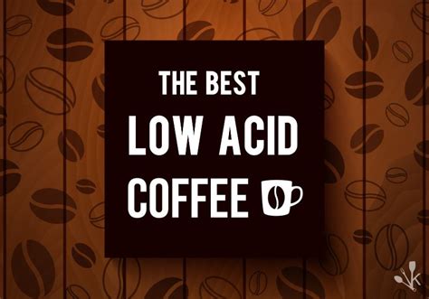 Maybe you would like to learn more about one of these? Best Low Acid Coffee Reviews & Buying Guide | KitchenSanity