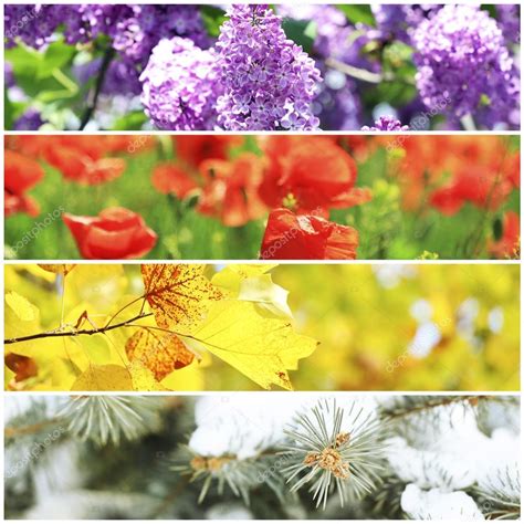 Vier Jahreszeiten Collage Winter Frühling Sommer Herbst — Stockfoto © Belchonock 65644449