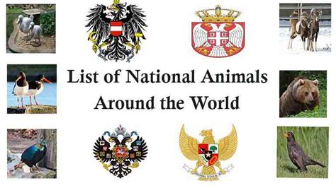 Top 179 National Animals Of Countries Around The World
