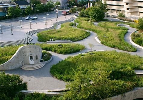 Urban Prairie Transformation Of The Plaza From Hardscape To Grassland