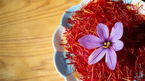 How To Grow And Care For Saffron Crocus