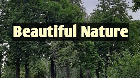 Beautiful Nature Around The World Youtube
