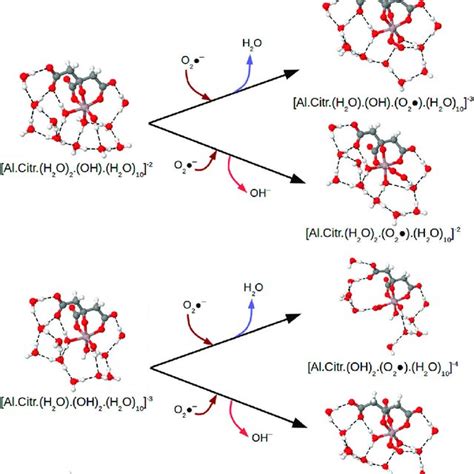 Density Functional Theory Structures Optimized At The Download