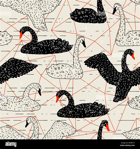 Seamless Pattern With Floating Black And White Swans Hand Drawn Birds
