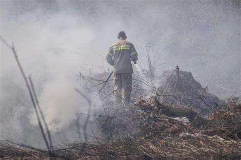 Νέα φωτιά ξέσπασε νωρίτερα στην αρχαία ολυμπία. Φωτιά ΤΩΡΑ στο Κορωπί