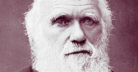 Charles Darwin Biografía De Este Famoso Naturalista Inglés